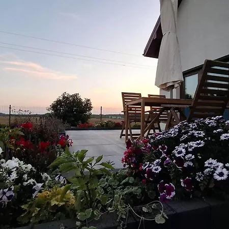 I Goscinne Lebska 162 * Nowecin